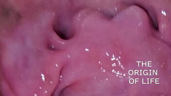 The commencing of life in the womb