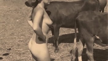 Natural boobies and unshaved pussy in a retro XNXX video